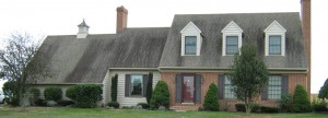roof cleaning