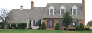 roof cleaning